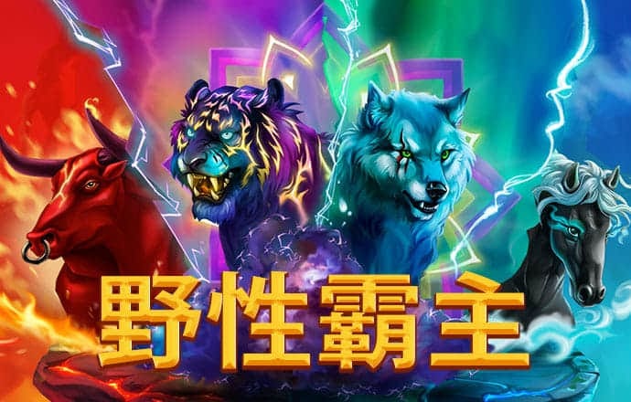 星空体育综合登录入口